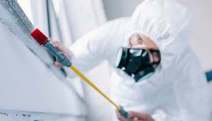 Emergency Pest Control Services in Melrose, MA